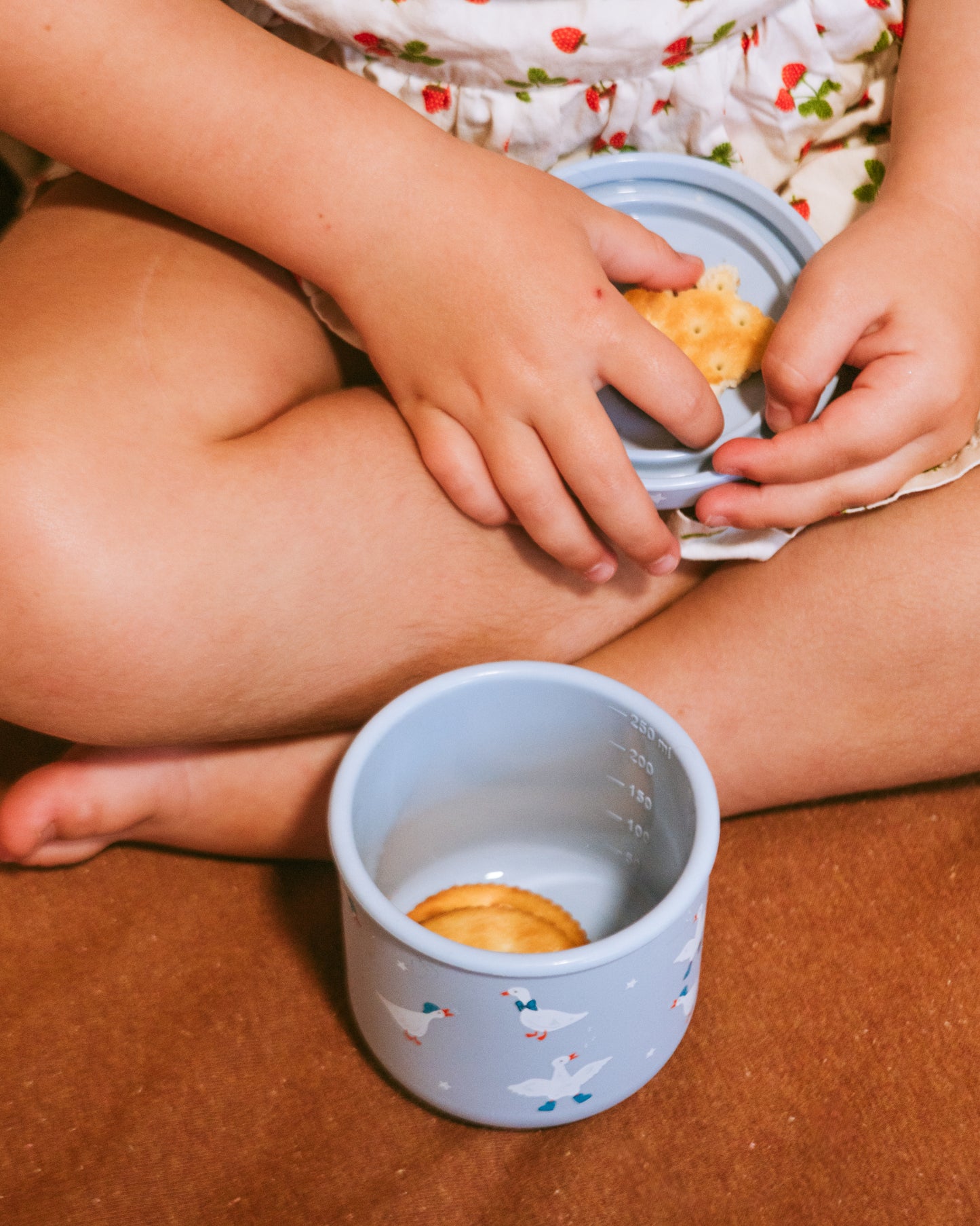 BB CINO 250ml Silicone Snack Pot