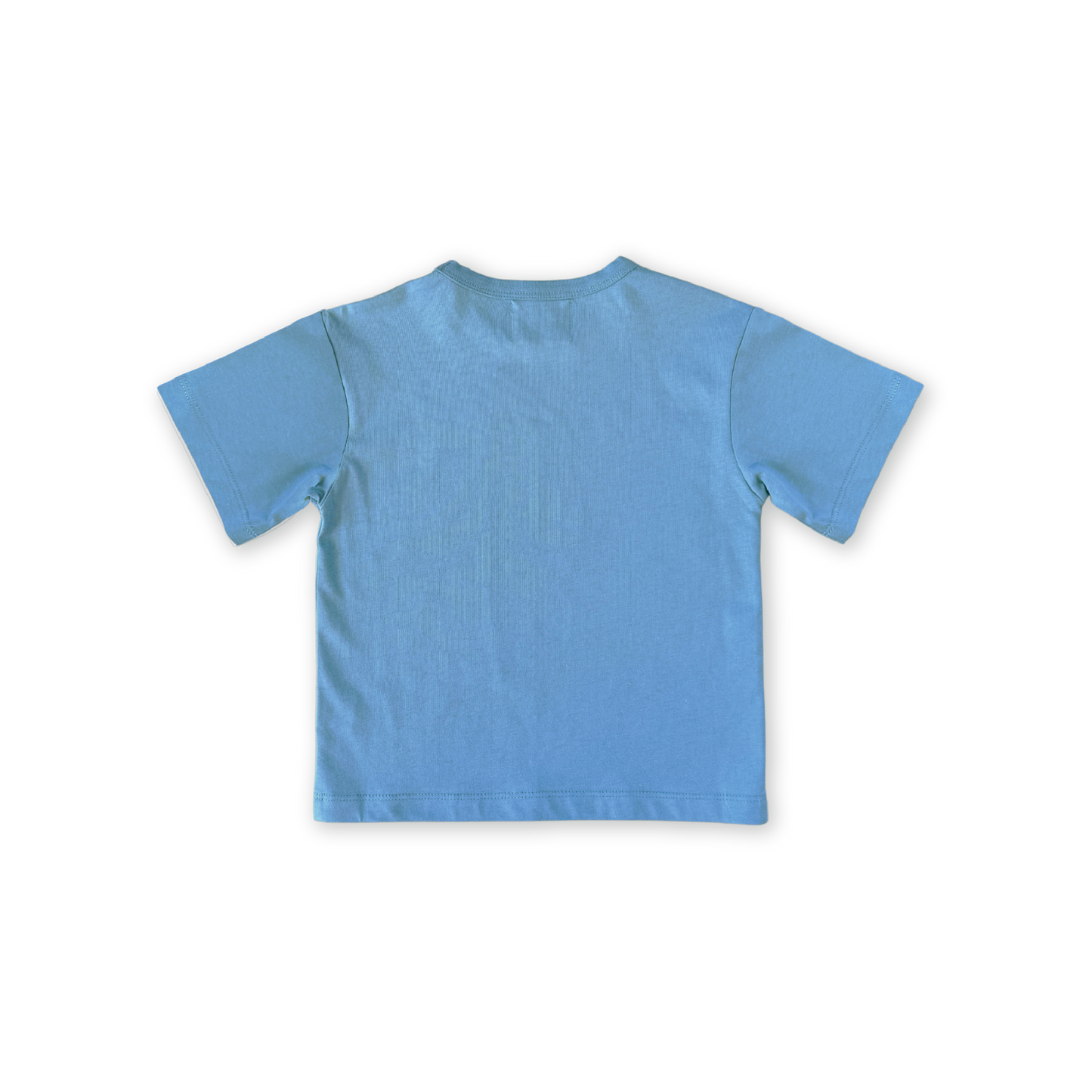 GROWN Organic Almost Grown Tee | Duck Egg