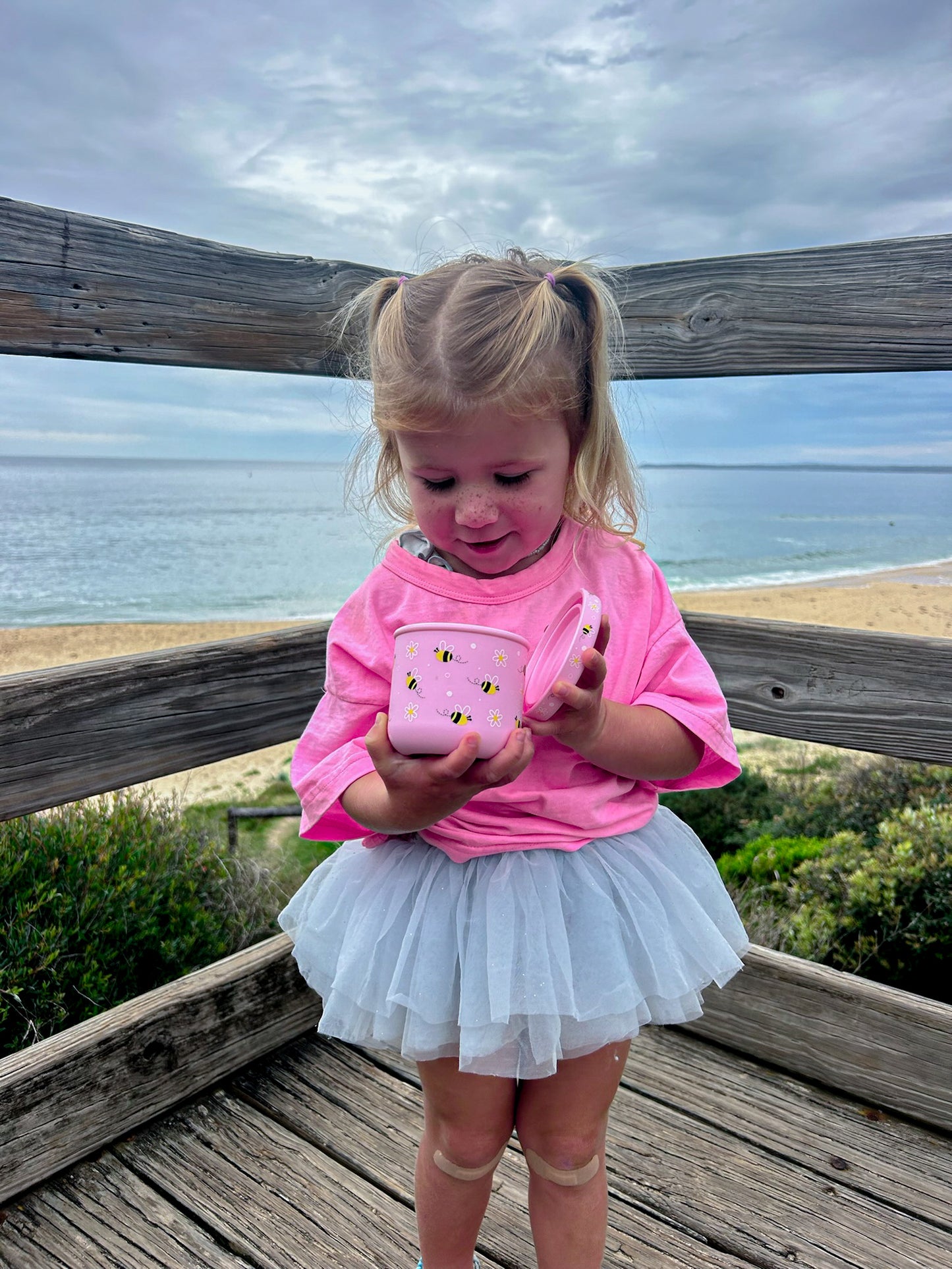 BB CINO 250ml Silicone Snack Pot