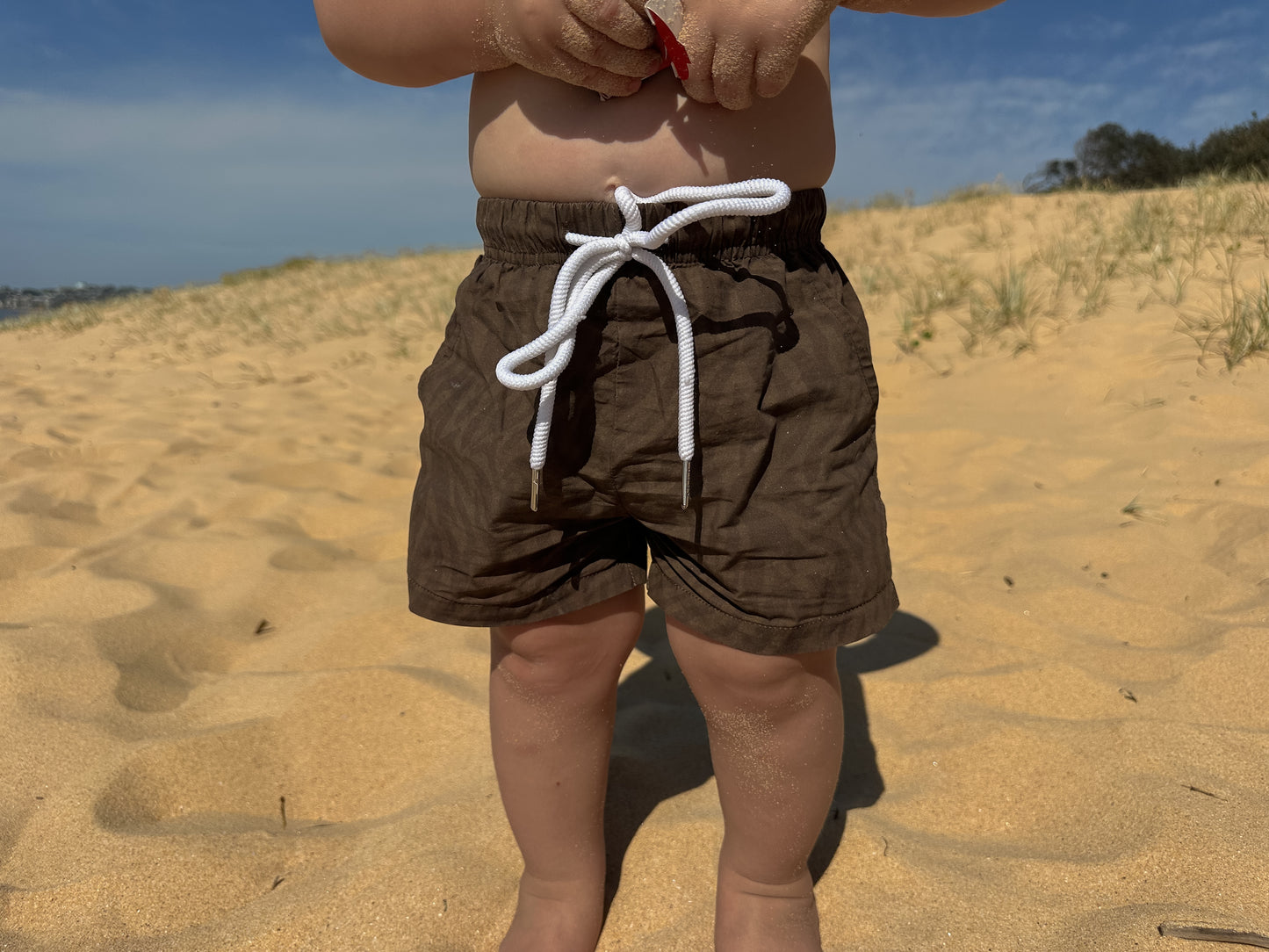 VII & CO Rhodes Shorts