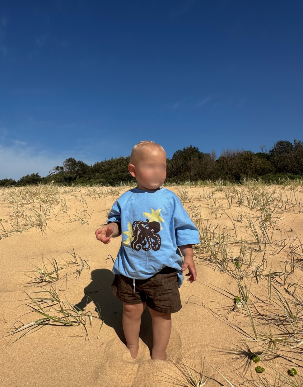 VII & CO Rhodes Shorts